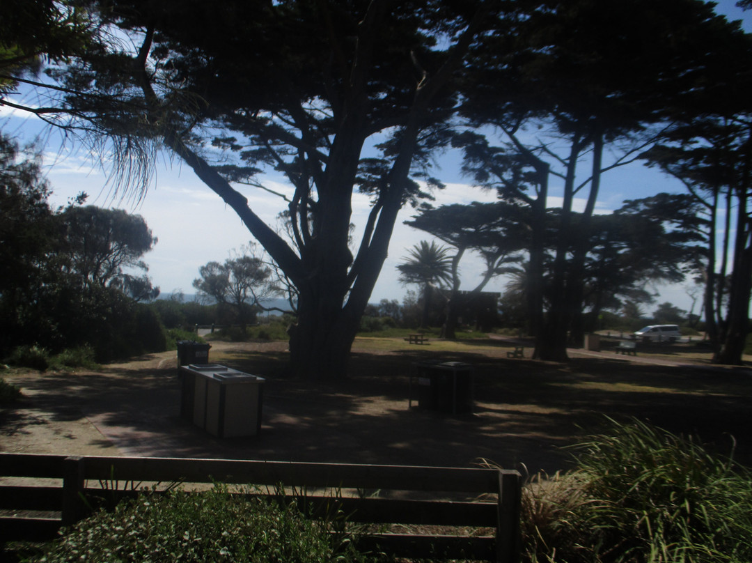 Mornington Park景点图片