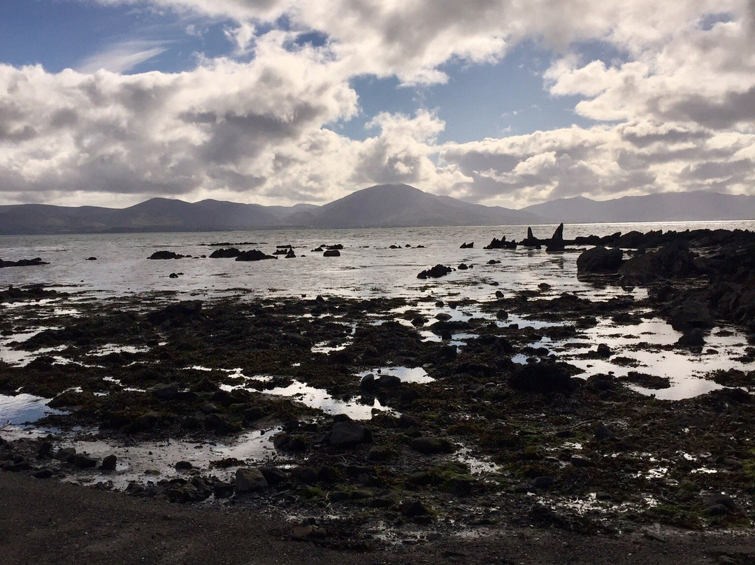 Fenit Lighthouse-特拉利必去景点
