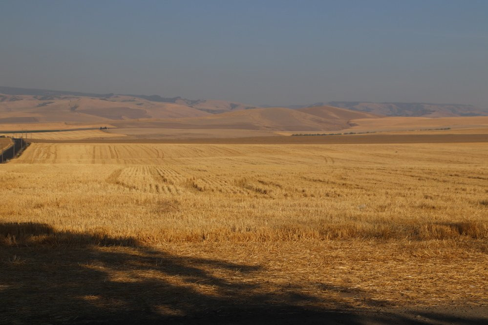 Old City Cemetery-Milton Freewater必去景点