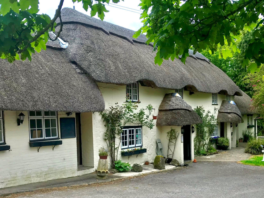 The Crown Inn Alvediston主图