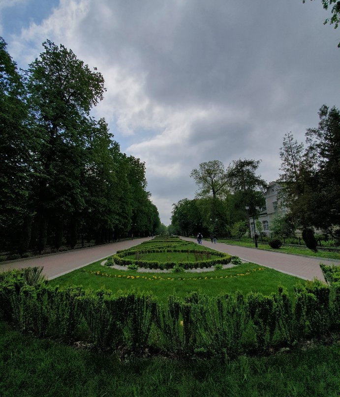 Shevchenko City Park景点图片