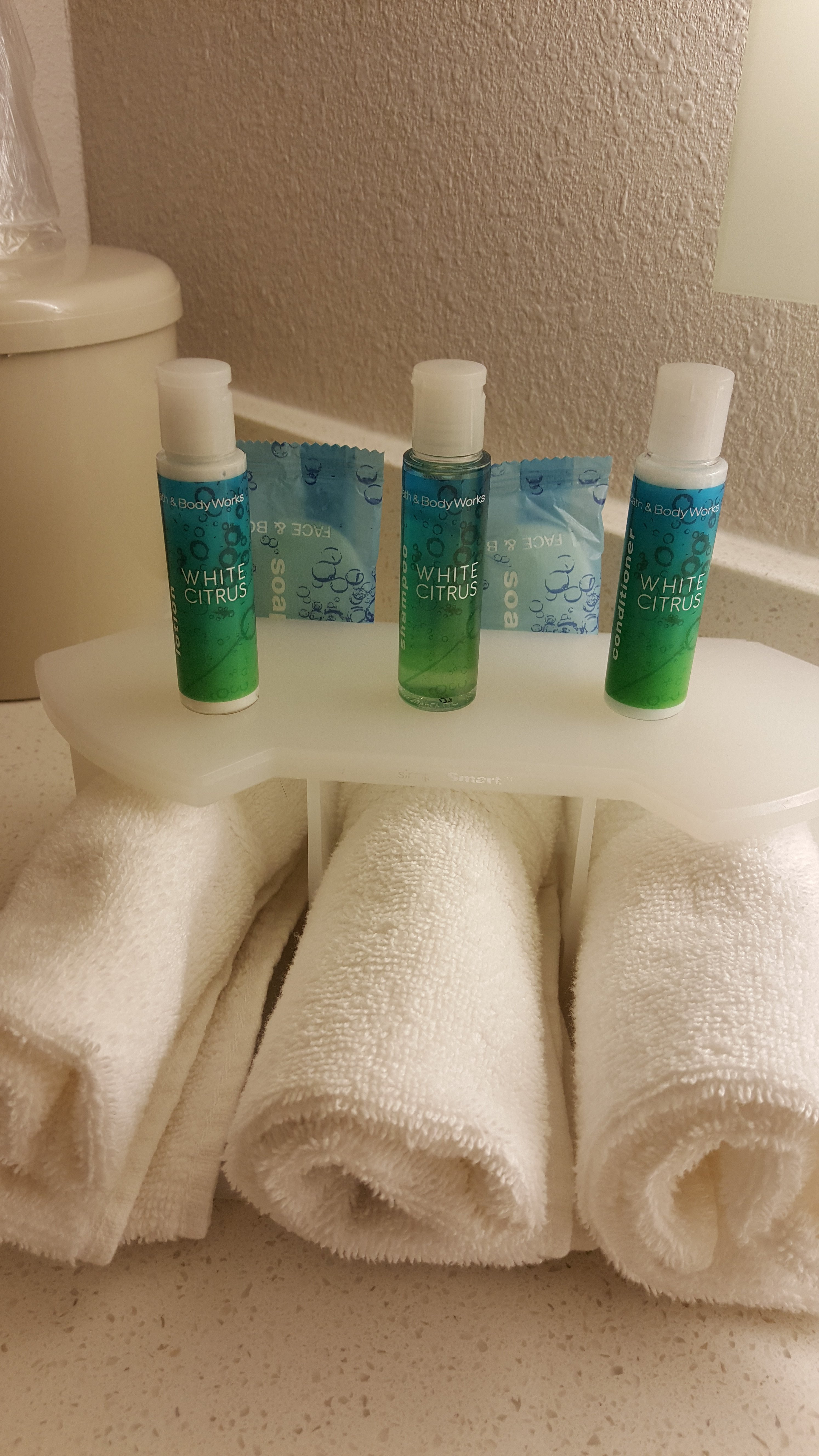 Holiday Inn Express Milwaukee N-brown Deer/mequon By IHG-浴室