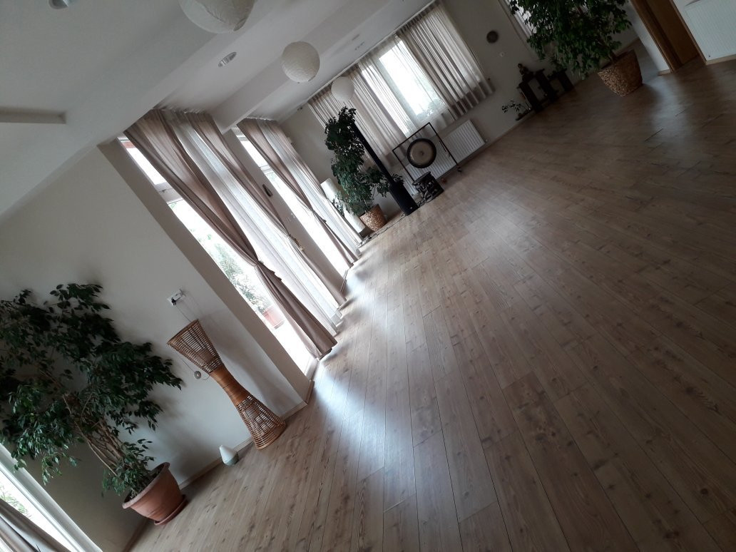 Yoga Centar Sadhana-罗维尼必去景点