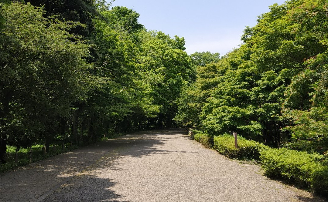 Jindai Botanical Park景点图片