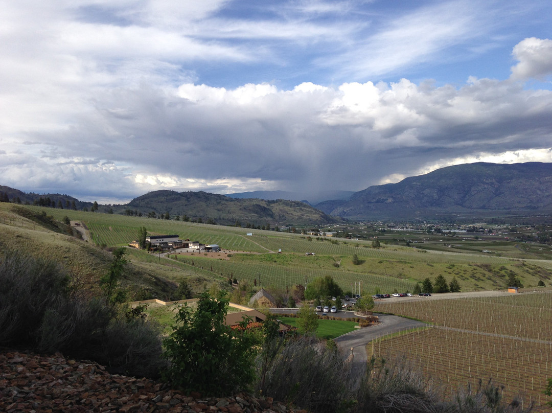 The Villa at Hester Creek主图