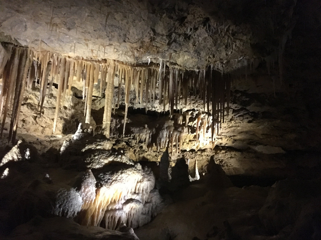 Victoria Fossil Cave景点图片