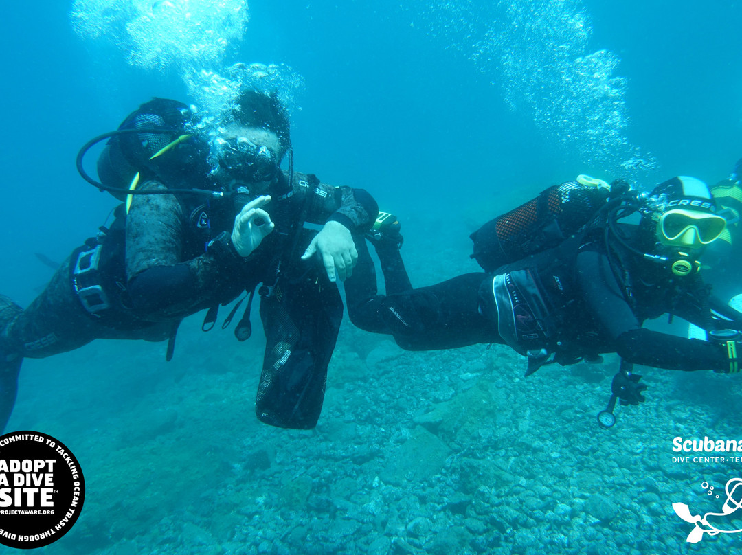 Scubanana Dive Center-圣克鲁斯-德特内里费必去景点