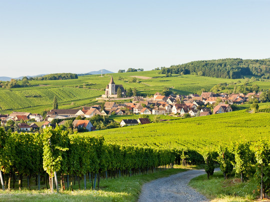 Ophorus-斯特拉斯堡必去景点