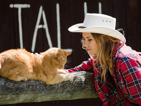 Estonian countryside day trips from Tallinn