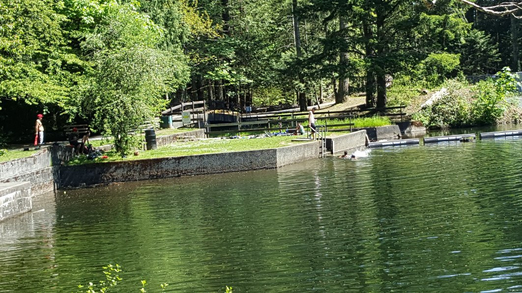 Colliery Dam Park景点图片