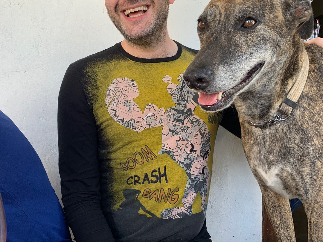 Meerlust Wine Estate-斯泰伦博斯必去景点