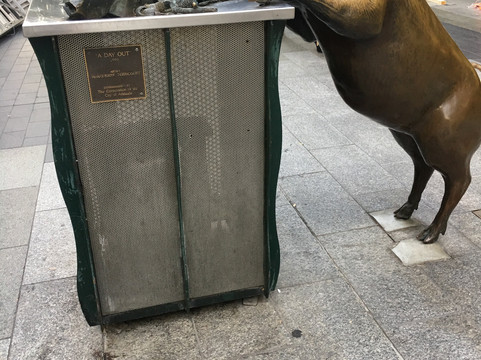 Flamboyance Tours-阿德莱德必去景点