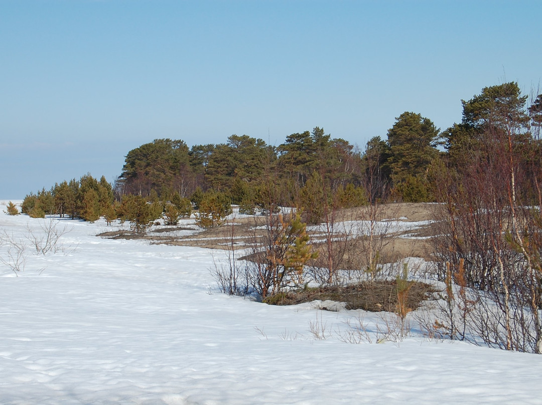 Beach Yagrinskiy景点图片