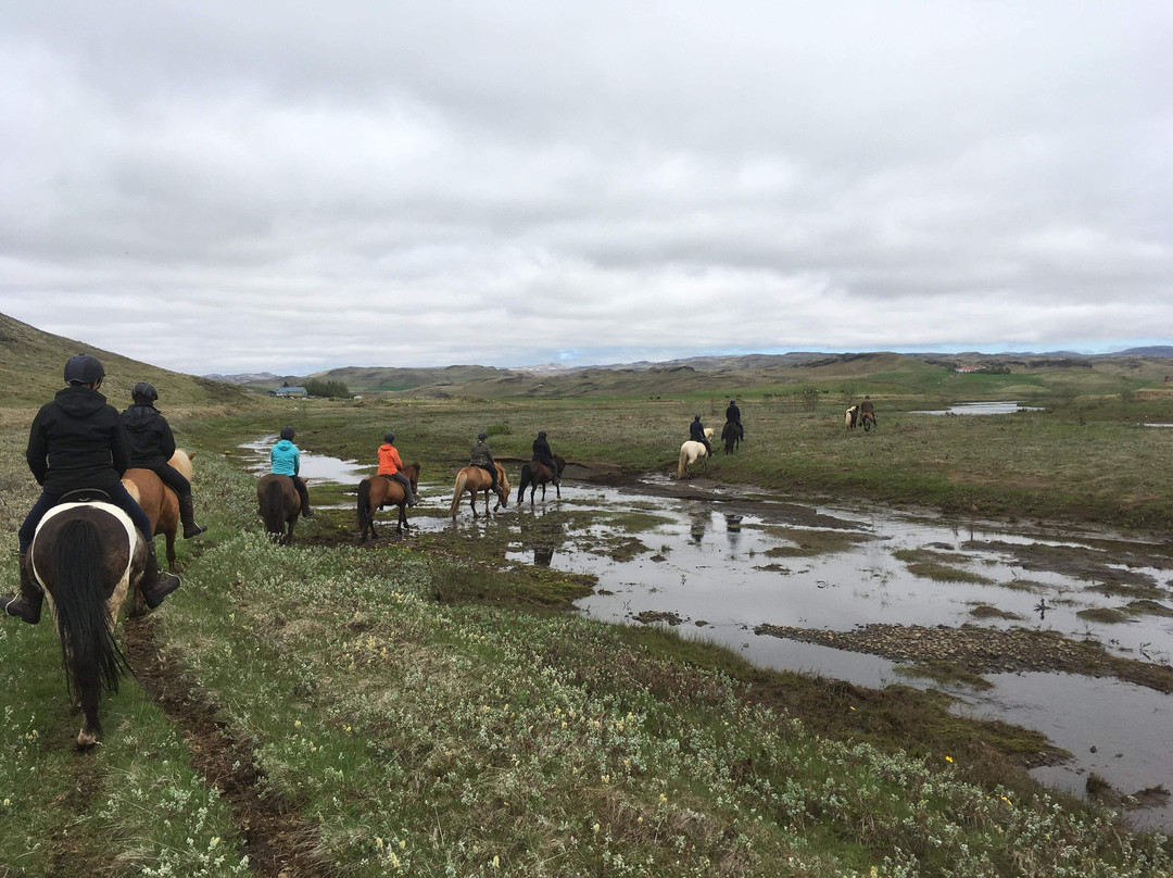 Steinsholt Guesthouse And Riding Tours主图