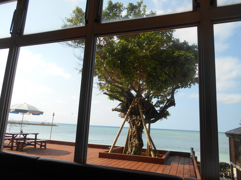 利山海洋公园饭店谷茶湾主图