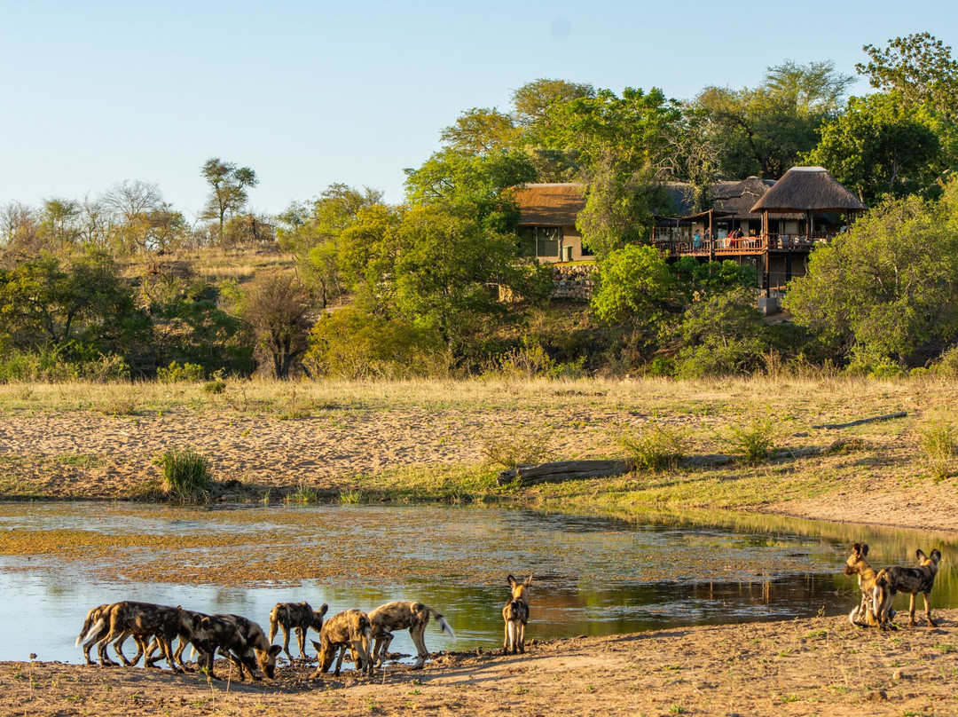 Tuskers Safari Lodge