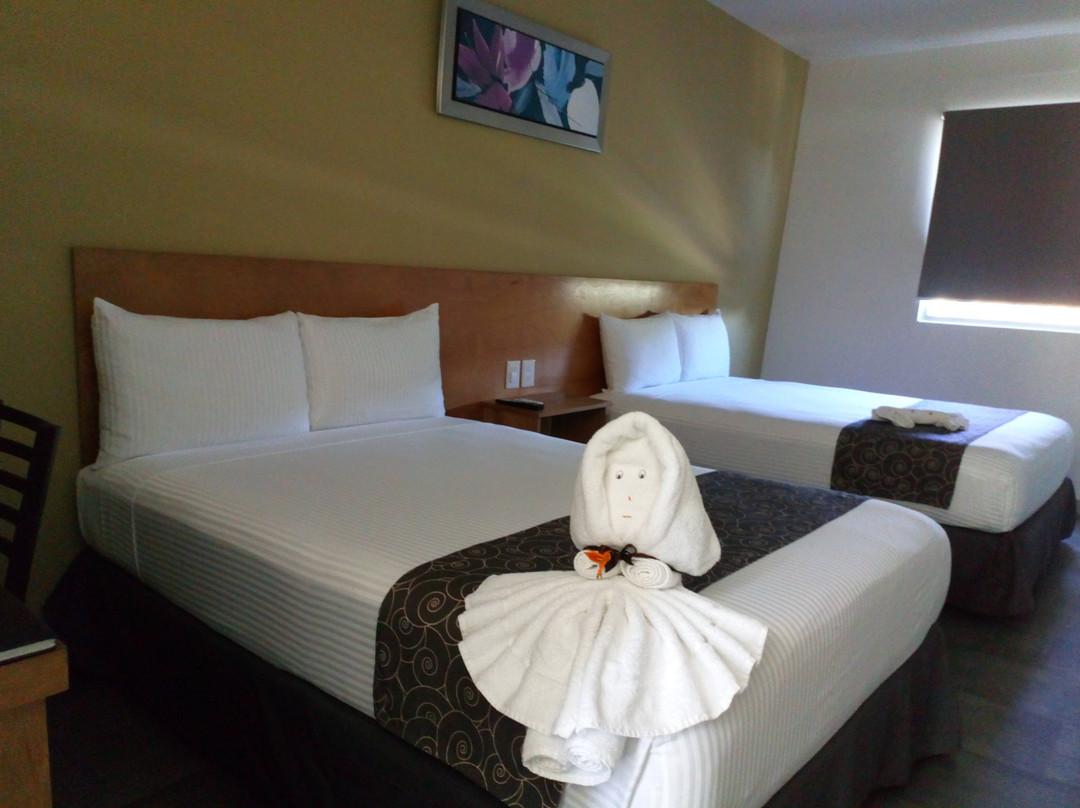 AM Hotel & Plaza主图