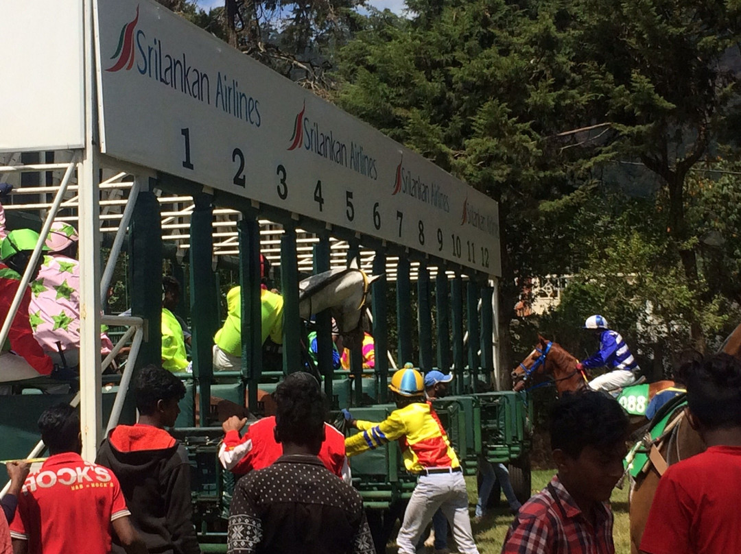 Royal Turf Club-奴娃拉伊利雅必去景点