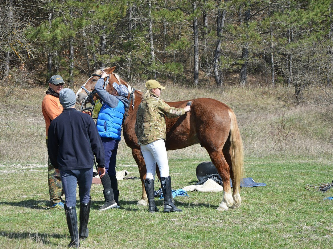 Horse Rides Eco Rest景点图片