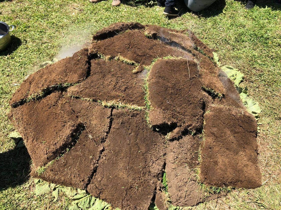 Eco Hospedaje Pinguineras主图