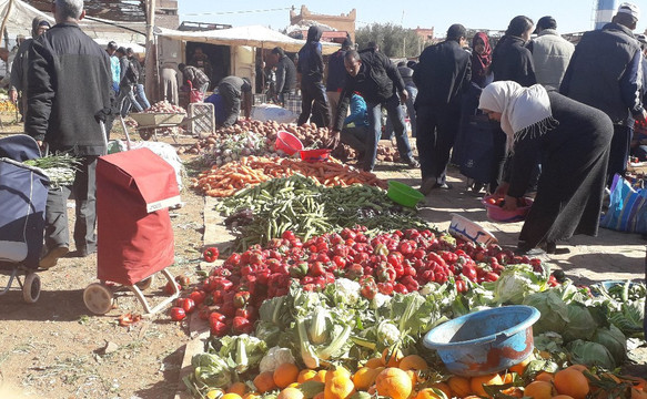 Visit Around Morocco-非斯必去景点