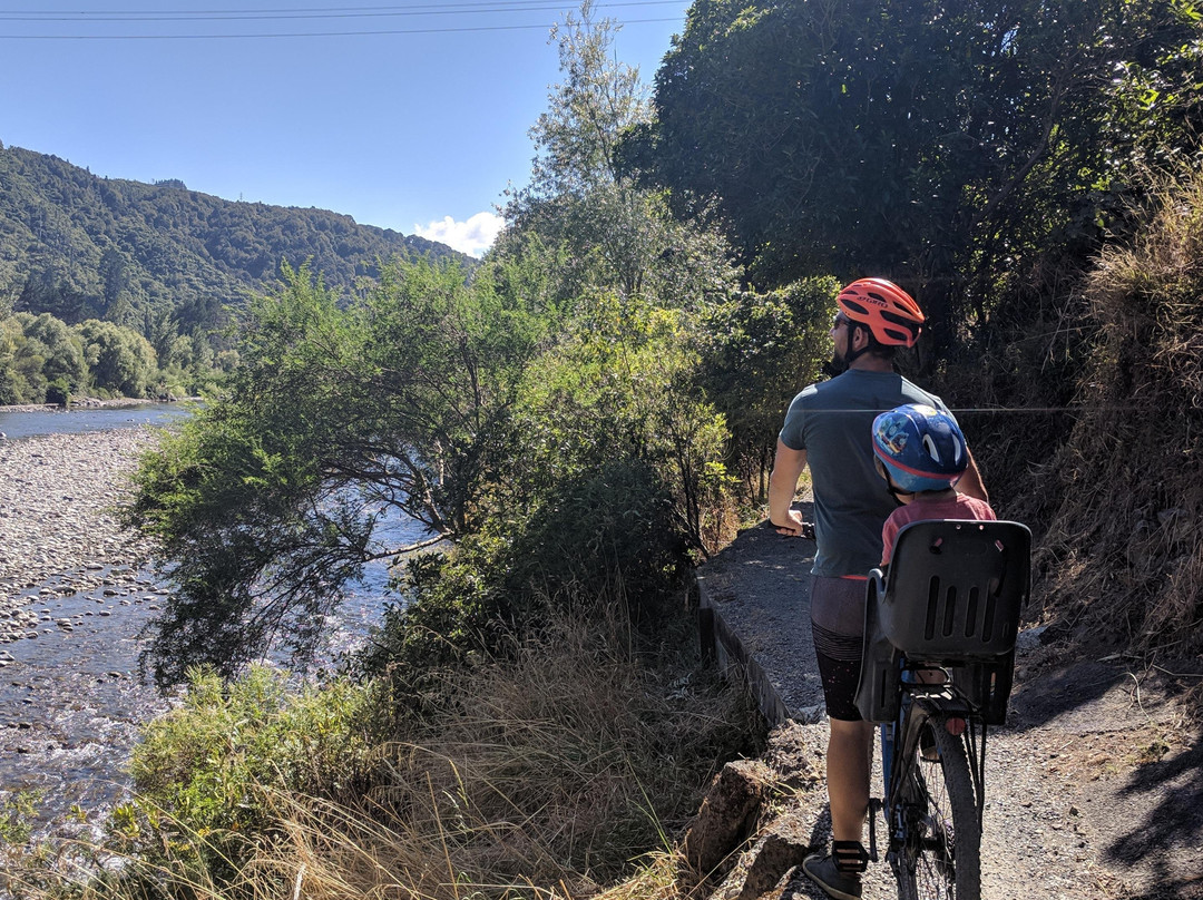 Wildfinder-惠灵顿必去景点