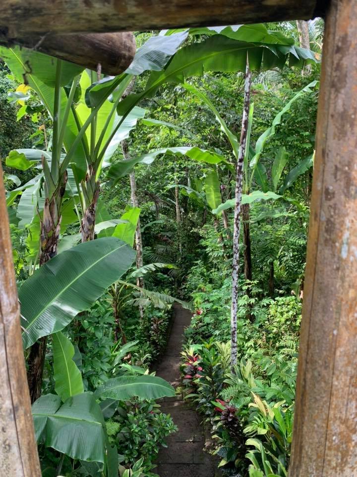 Song Broek Jungle Resort-浴室