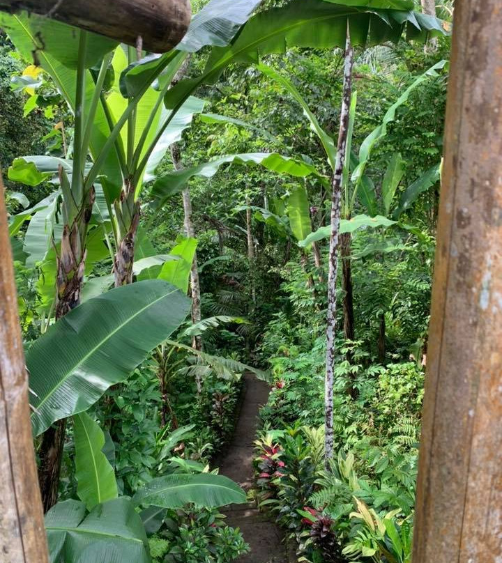 Song Broek Jungle Resort主图