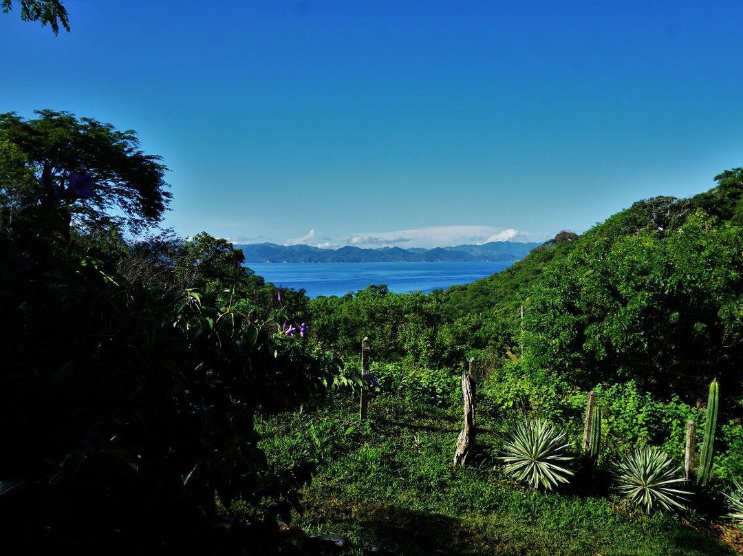 Casa Mariquita主图