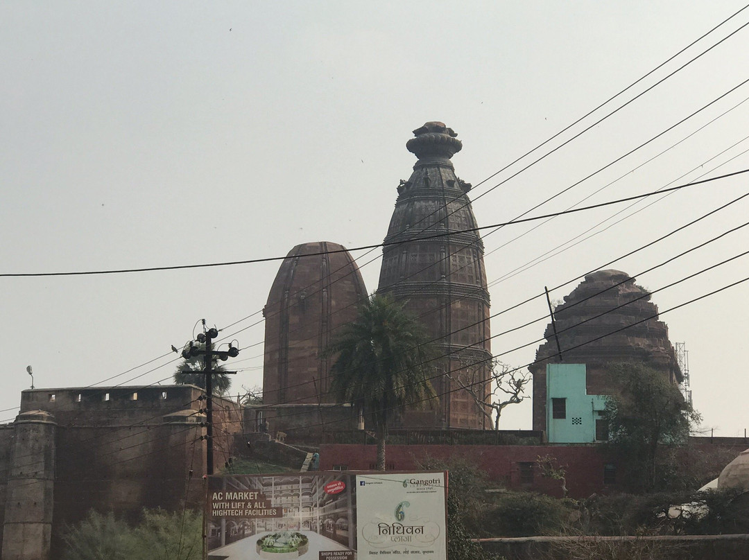 Shri Radha Madan Mohan Ji Temple景点图片