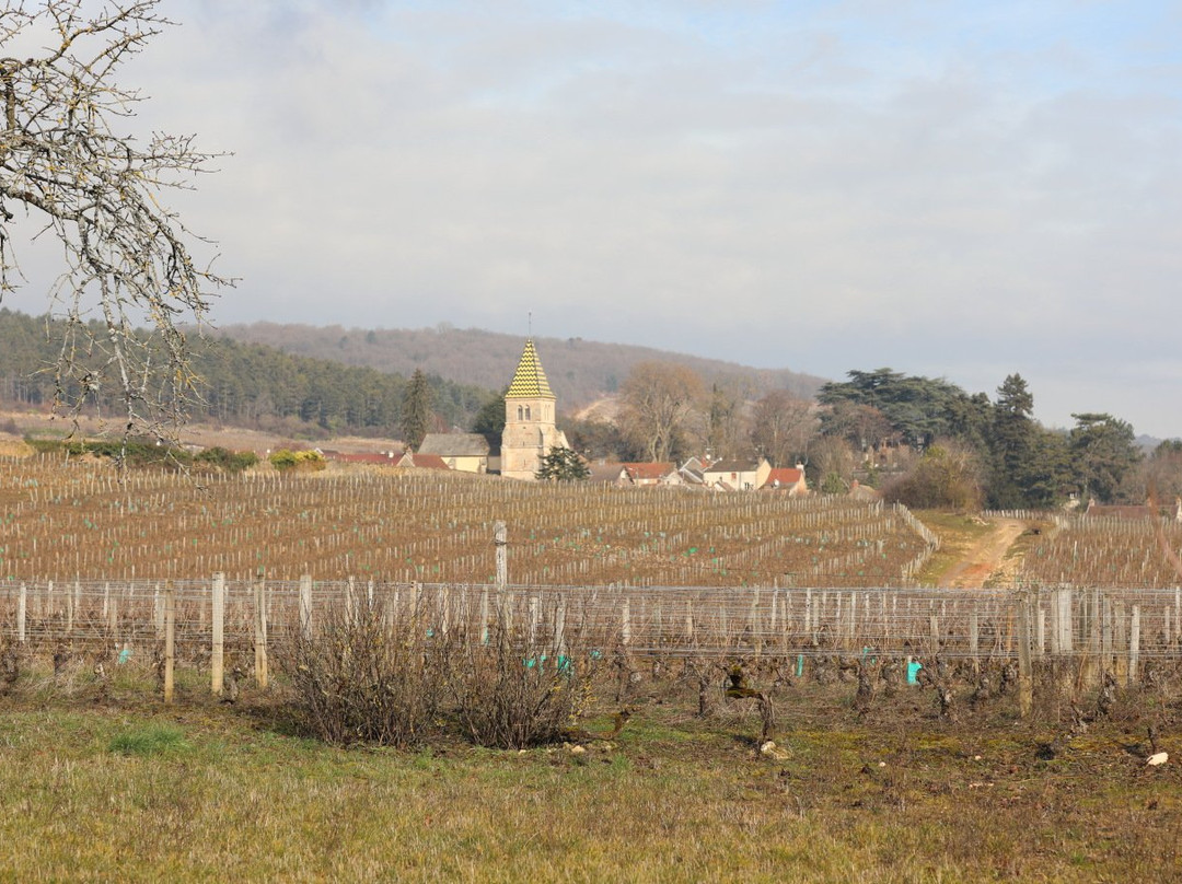 Eglise de Saint-Martin de Fixin景点图片