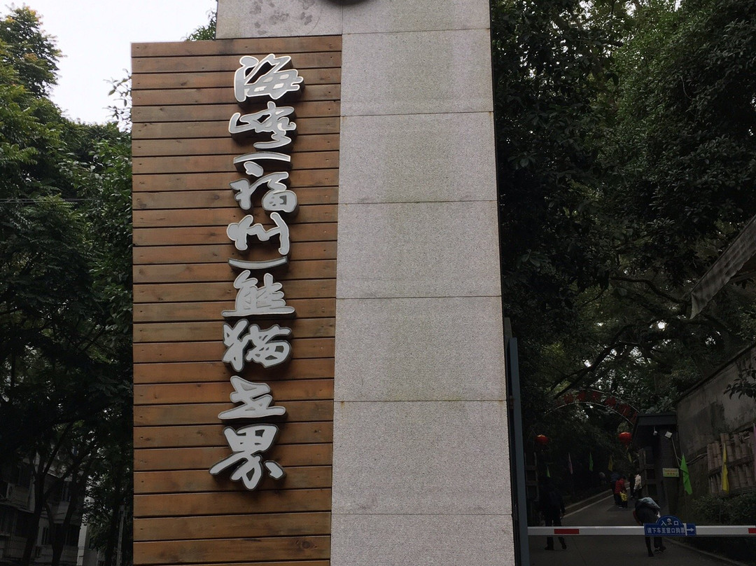 熊猫世界景点图片