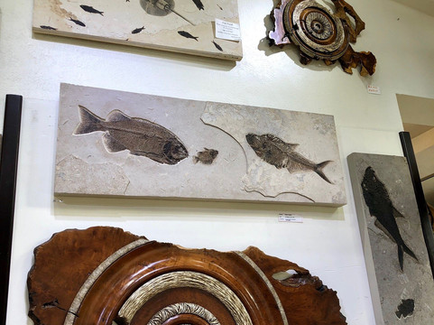 Lionshead Jewelers-韦尔必去景点