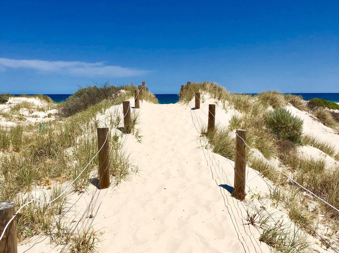 Port Willunga Beach Rides景点图片