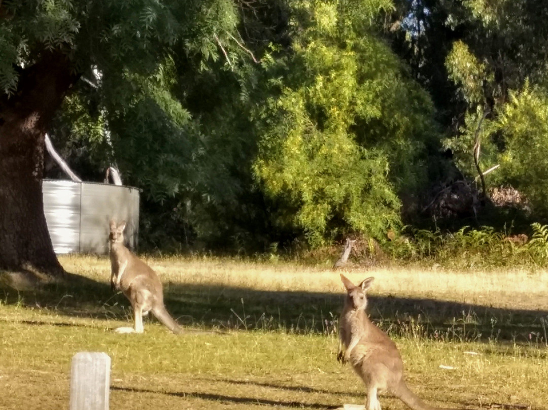 笑翠鸟汽车旅馆主图