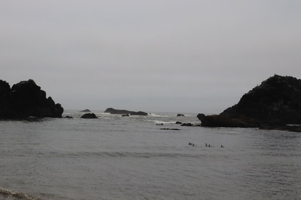 Seal Rock State Recreation Site景点图片