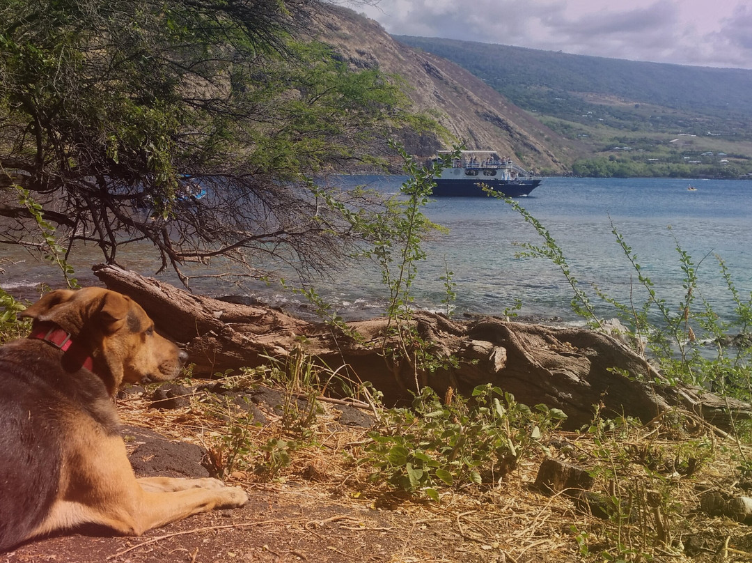 Ka'Awaloa Trail-库克船长必去景点