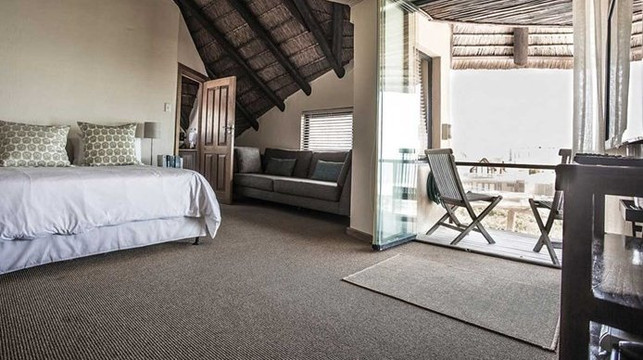 Dolphin Sunrise主图