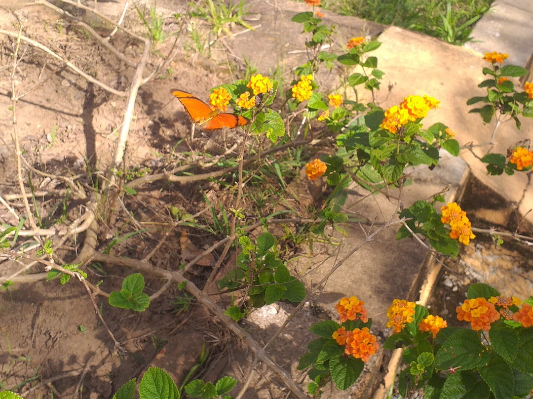 Restaurante Brasil Caipira