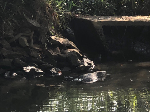 萨仁迪住宿加早餐旅馆主图