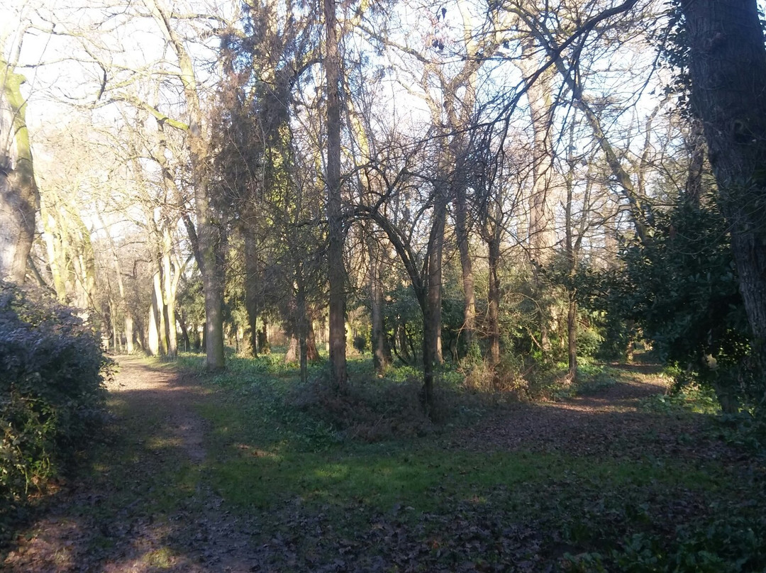 Parco Pubblico "M.A. Centanini"景点图片