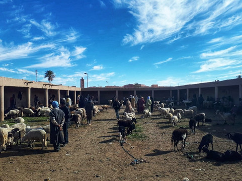 Silence of Morocco-马拉喀什必去景点