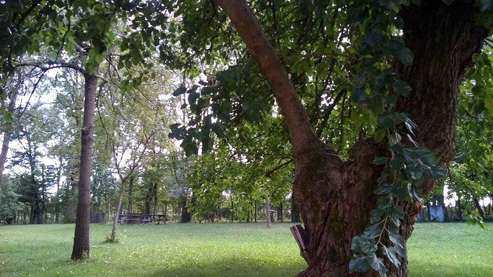 Mulino di Belfiore - Pramaggiore-Pramaggiore必去景点