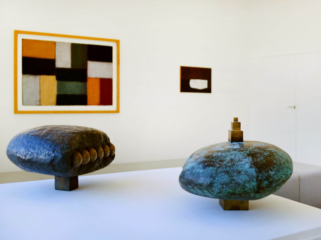 Espace de l'Art Concret - Centre d'art contemporain d'intérêt national-Mouans-Sartoux必去景点