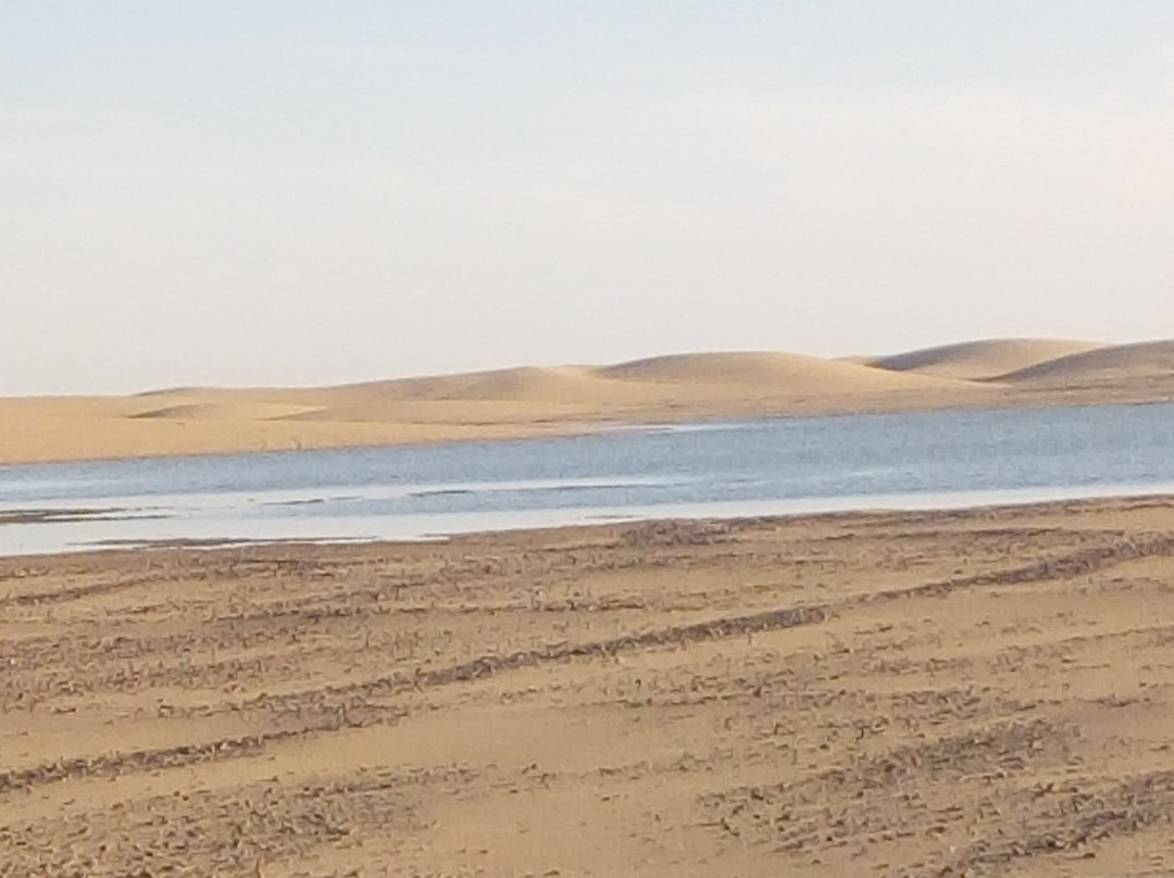 Al-Khargah Oasis-Kharga必去景点