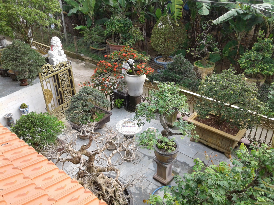 Bonsai Villa Hoi An主图