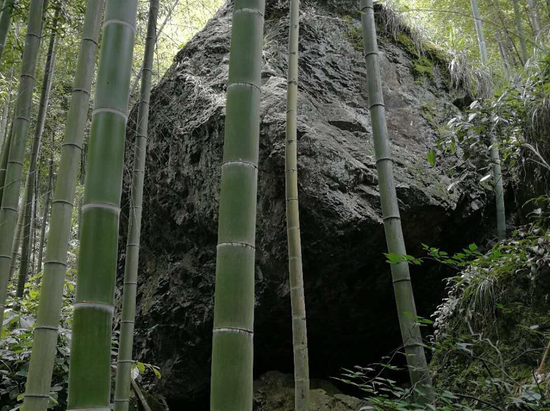 安吉古城遗址-安吉县必去景点