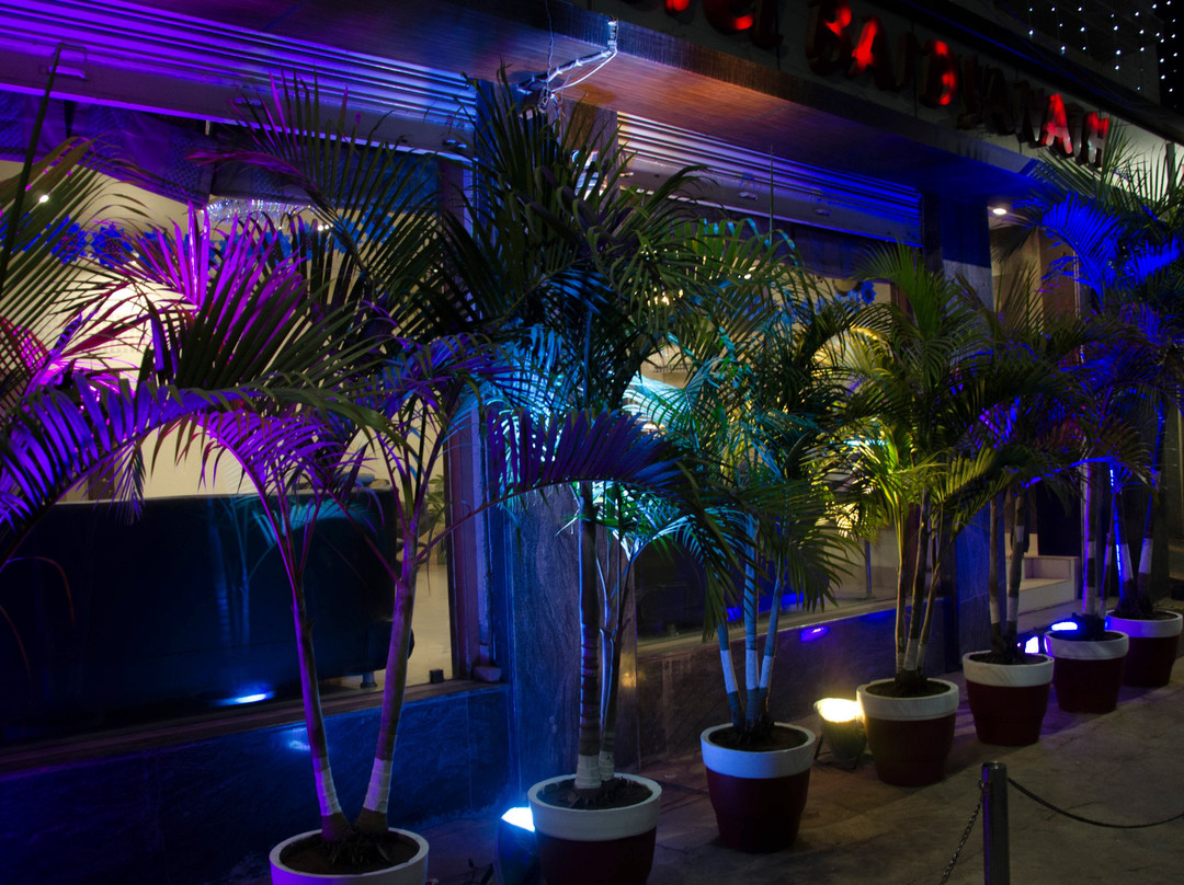 Hotel Baidyanath主图