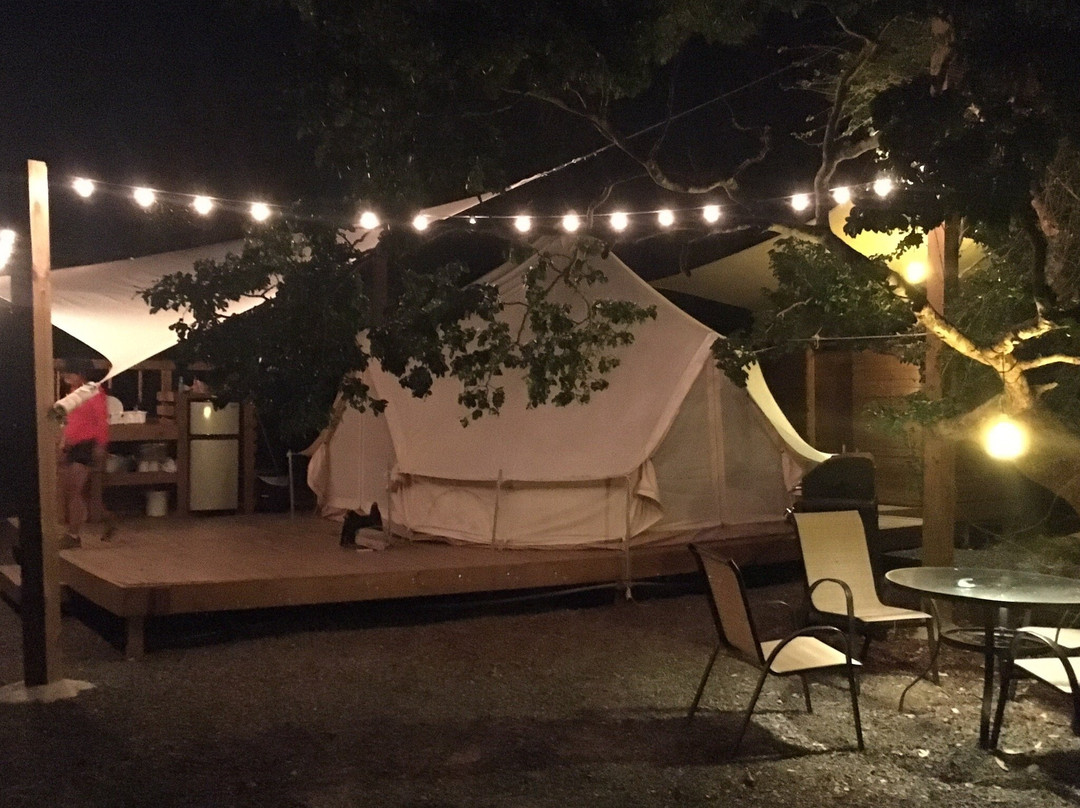 Pitahaya Glamping