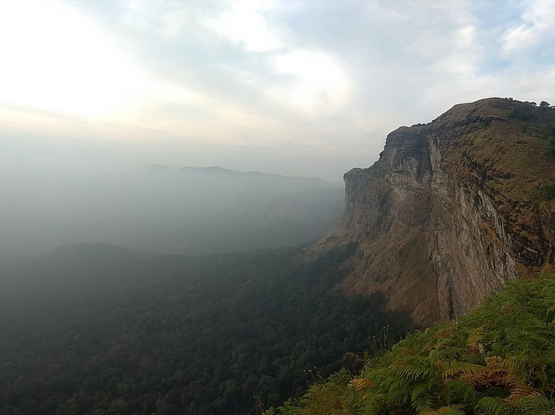 Misty Heights Homestay主图